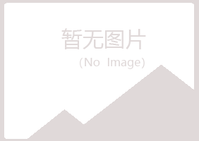 鹤壁山城惜雪能源有限公司